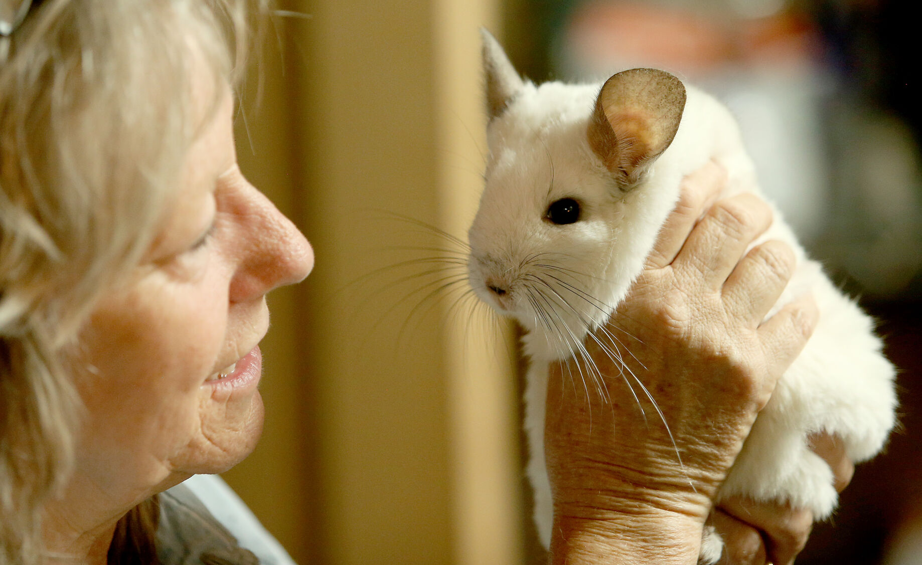 060518-qct-animal-sanctuary-015